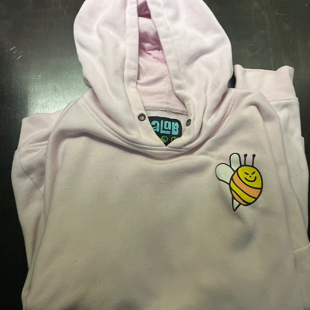 Zumiez Baby Pink Graphic Hoodie